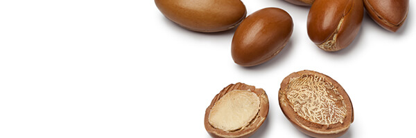 L'huile végétale d'Argan